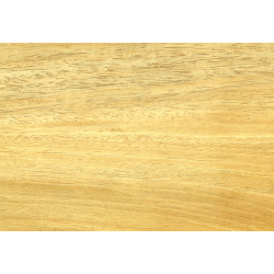 Abachi plader l�ngde 995 mm. X 100 mm. Tykkelse 1mm til 3 mm