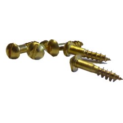 Trskruer messing 1,6 X 12 mm. 